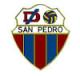 Escudo SAN PEDRO GORRIA