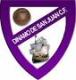  Escudo DINAMO SAN JUAN B